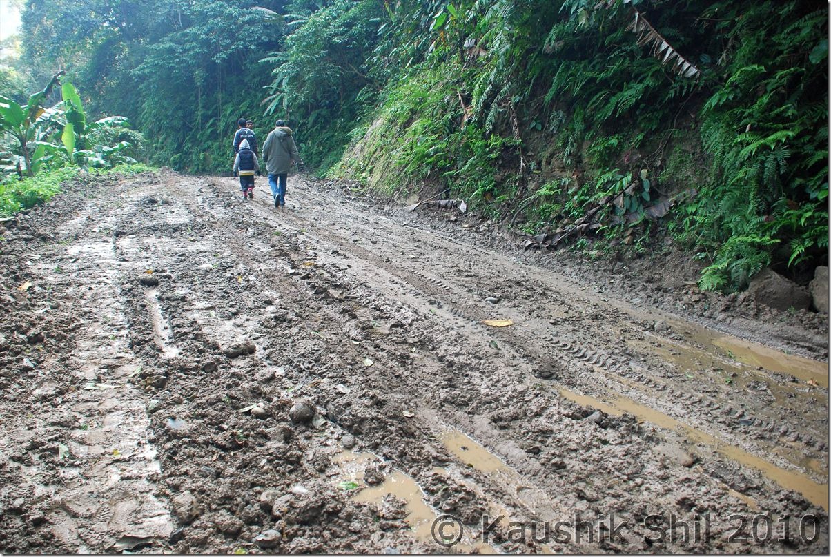 0738_On MV Road Trekking to 20th Mile