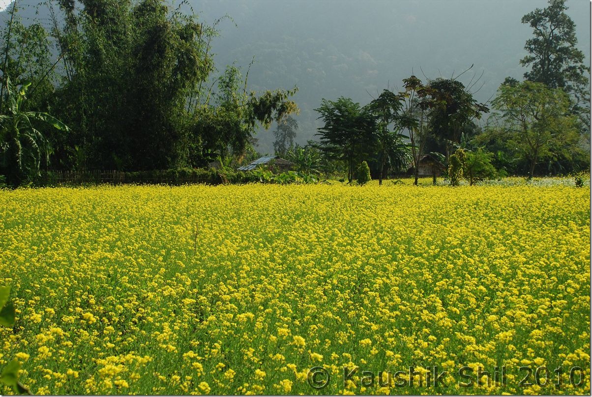 0933_Picturesque Chakma Village