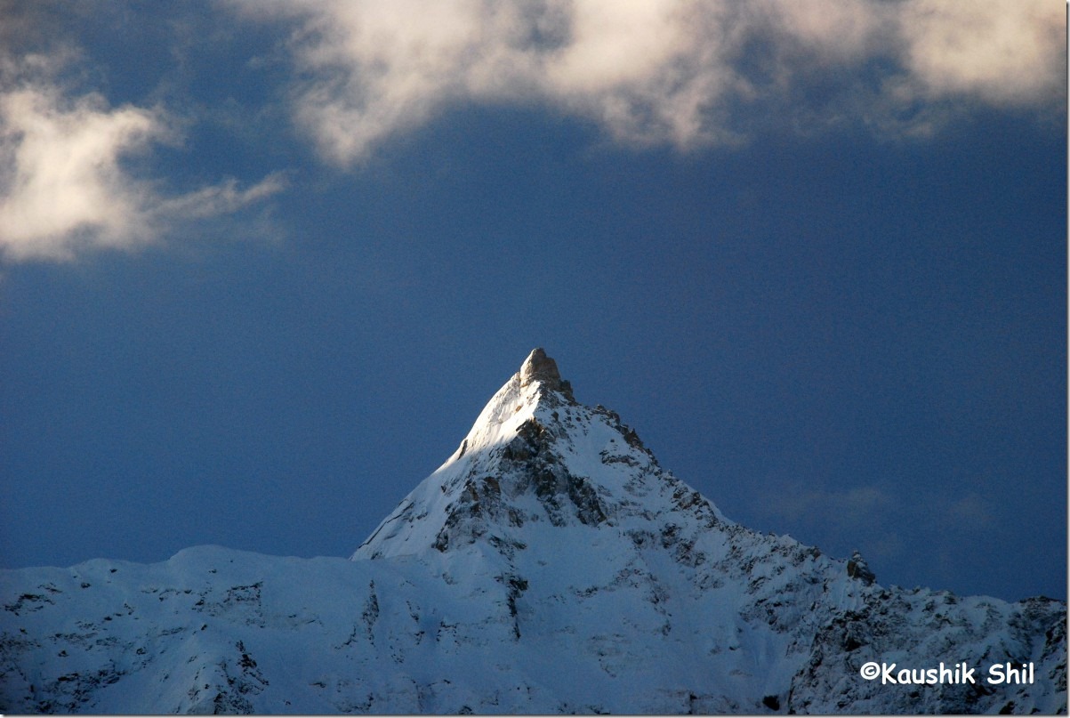 10513_Majestic Kinnaur Kailash