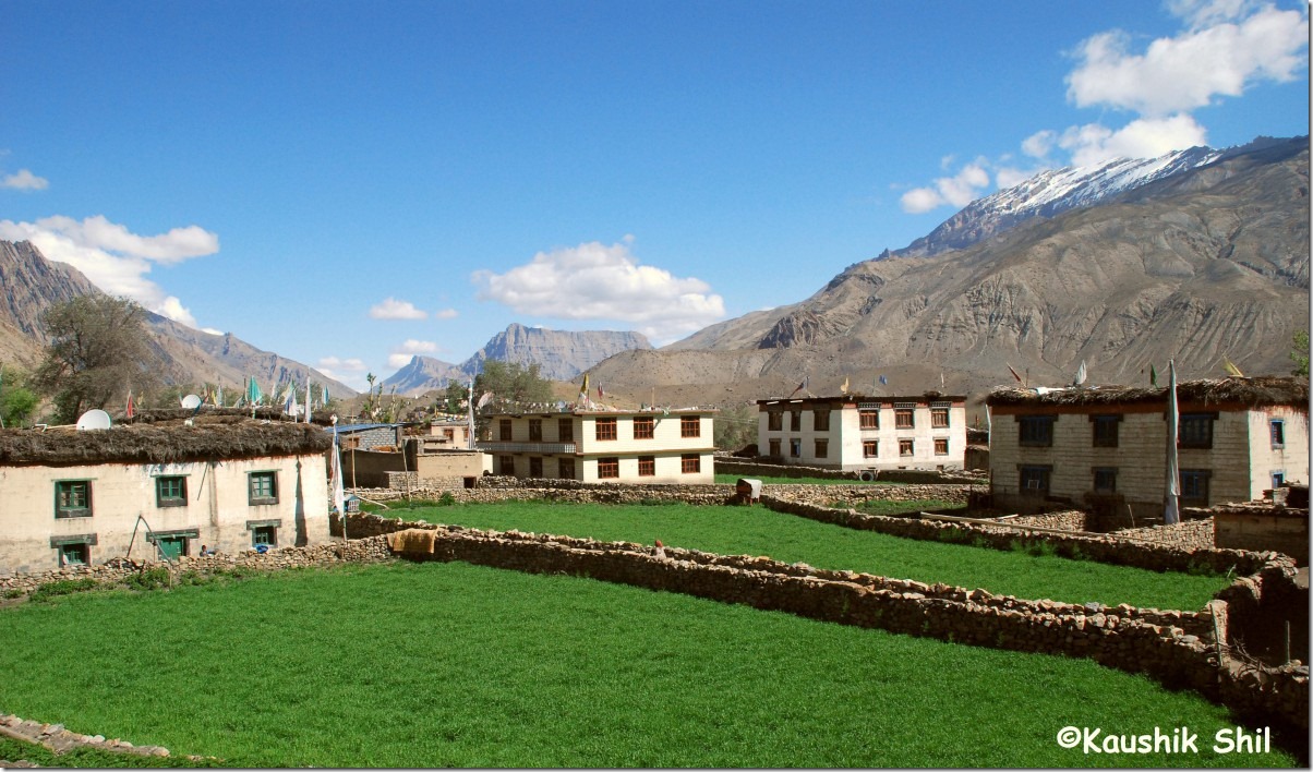 10825_Mane Greenest Village in Spiti Valley