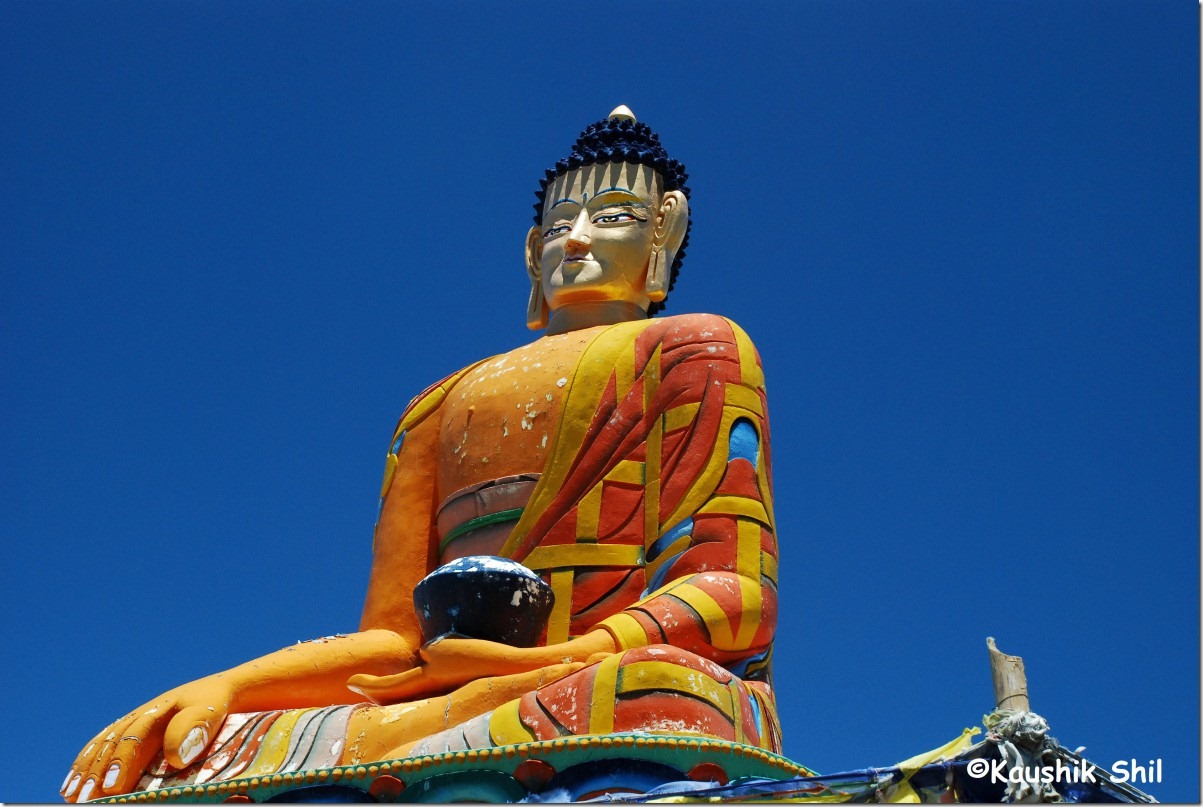 20224_The Buddha at Langza