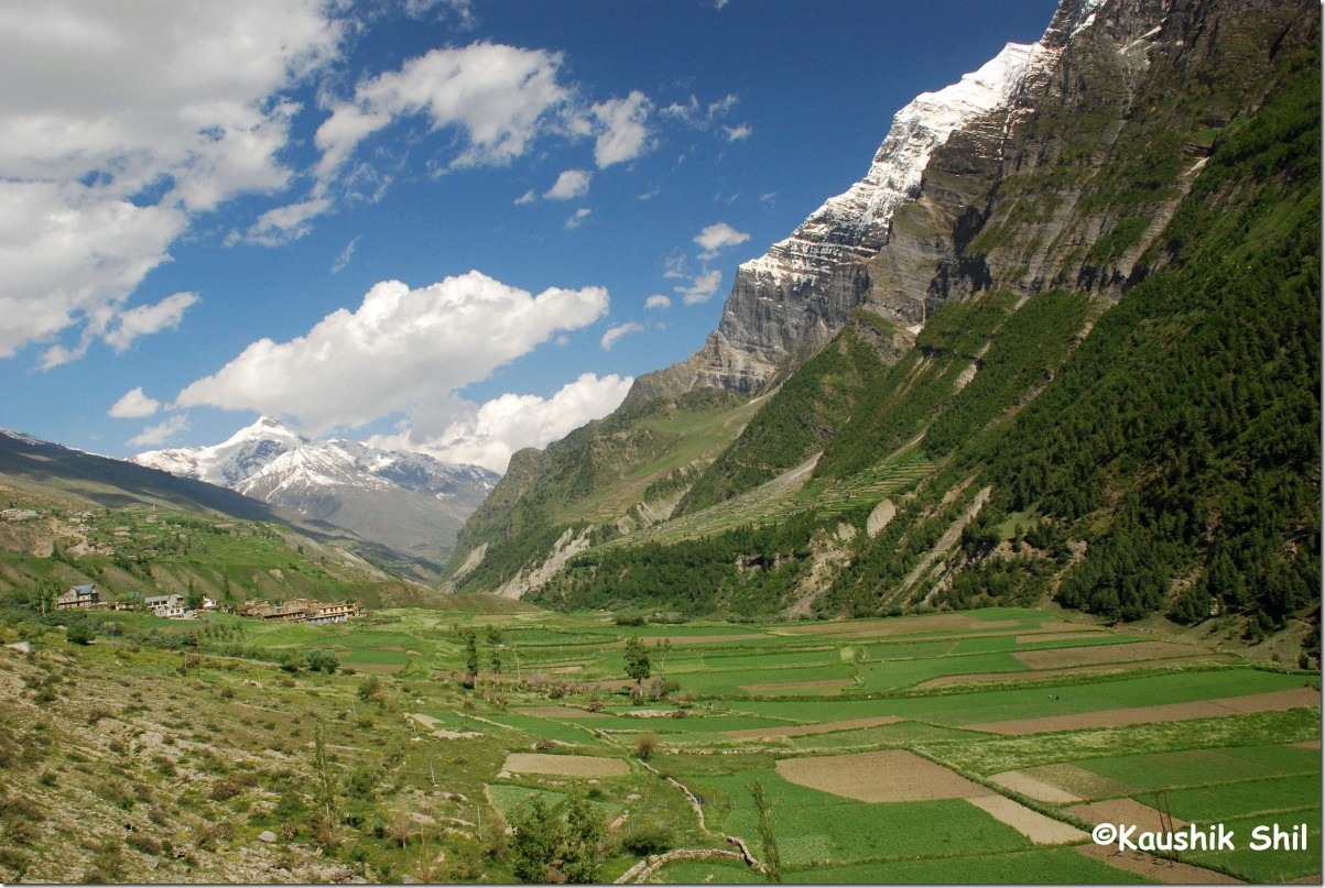 30293_Journey through Green Vista close to Tandi